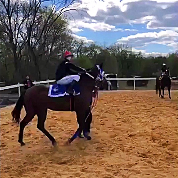 Meet your Posher, Omar - Picture 1 of 1